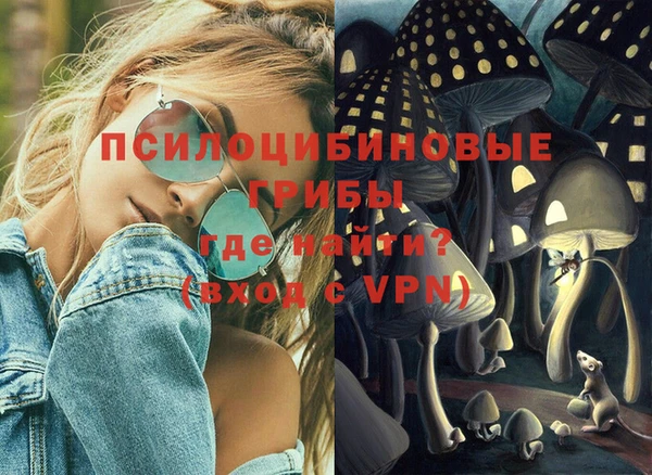 бошки Абаза