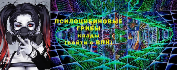 стаф Алексеевка