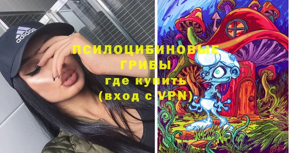 ГАЛЛЮЦИНОГЕННЫЕ ГРИБЫ Алзамай