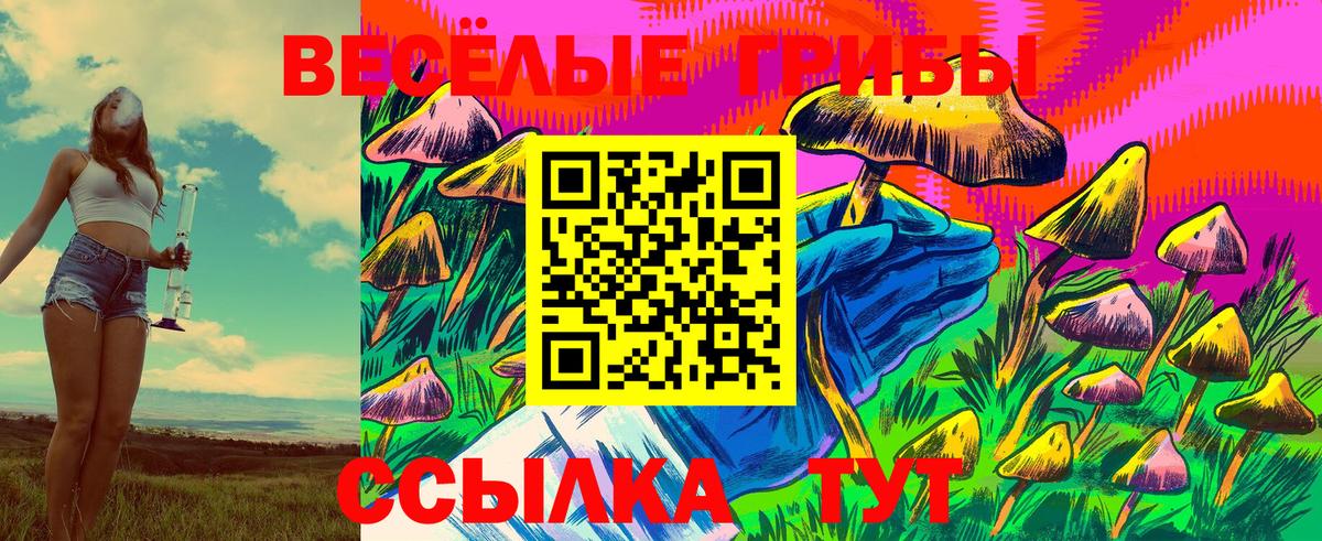 МЕФ Сафоново
