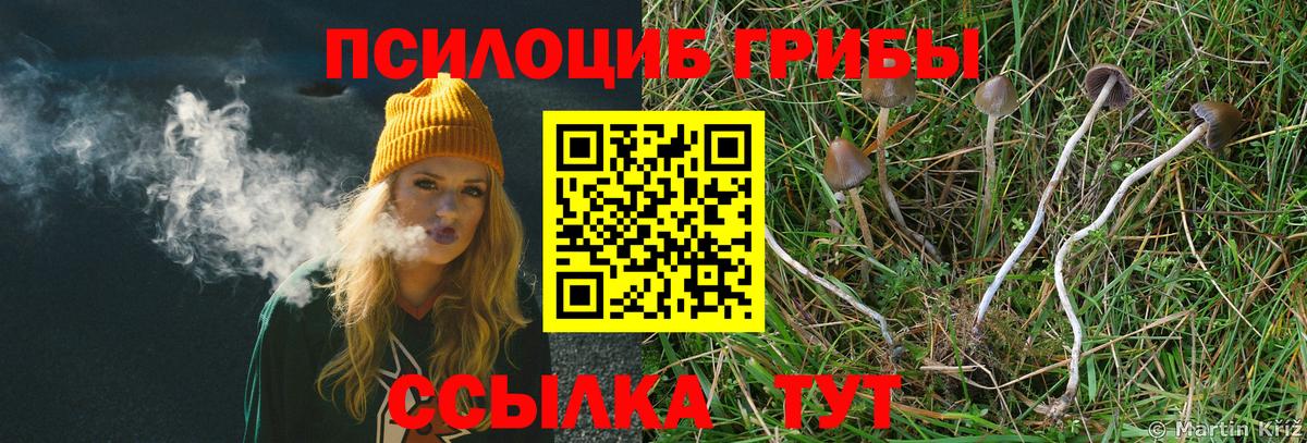 Сафоново  Псилоцибиновые грибы Magic Shrooms  дарнет шоп  Галлюциногенные грибы Psilocybe  Вход с VPN 