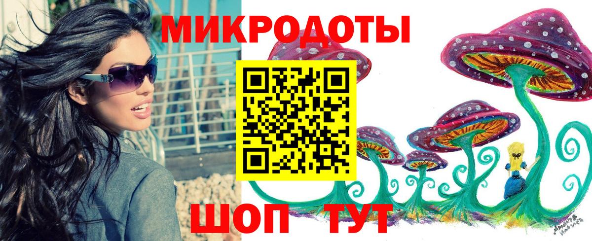 Псилоцибиновые грибы Cubensis Сафоново